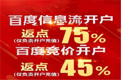解析SEM代运营托管公司在市场竞争中的角色